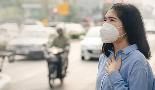 Environmental Air Pollution