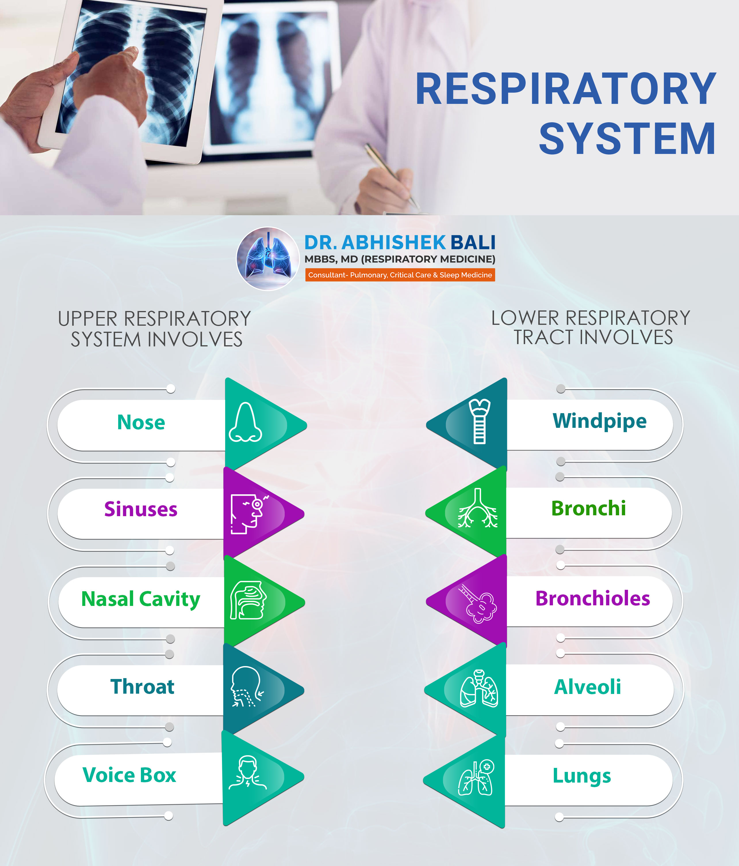 Infographics